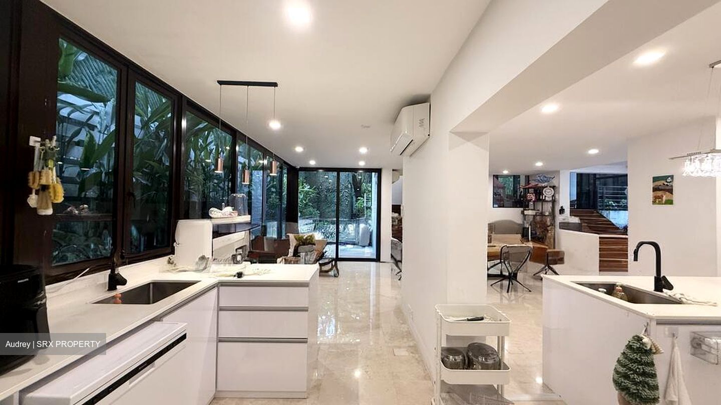 Leedon Park (D10), Detached #498095921